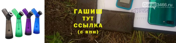 трава Аркадак