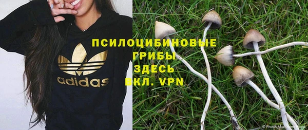 гашик Михайлов
