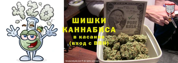 гашик Михайлов
