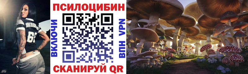Галлюциногенные грибы мухоморы  Кириши 